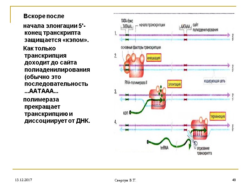 13.12.2017 Свергун В.Т. 48    Вскоре после     